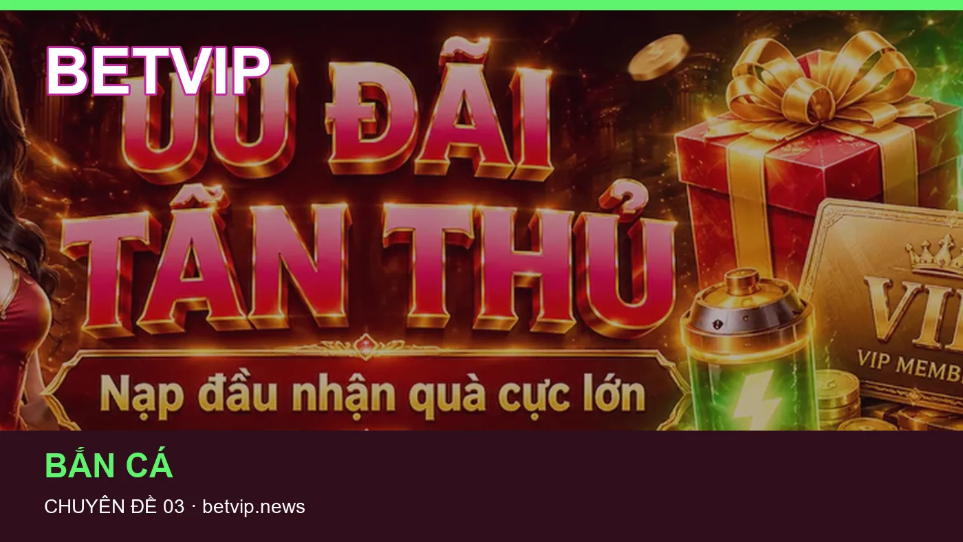 Hình minh họa bài viết BETVIP